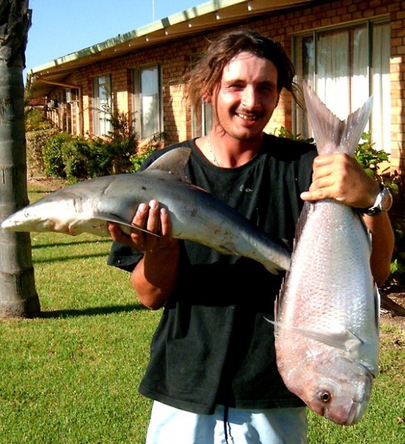 Simons shark n snapper Simons shark n snapper